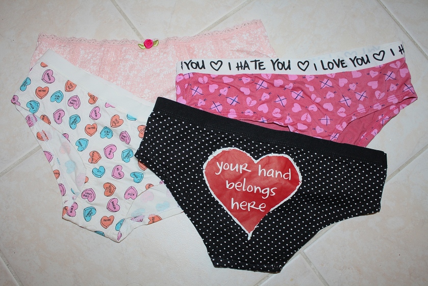 Valentines Day Panties 17